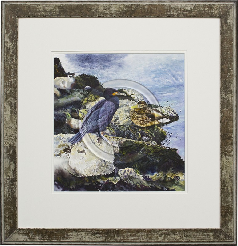 Image of Nature Watercolor