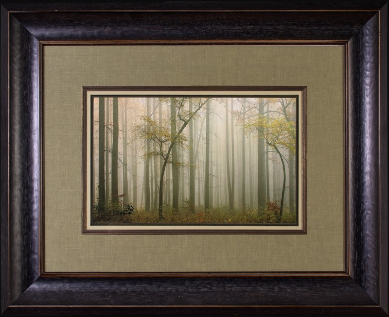 Image of Landscape Photo